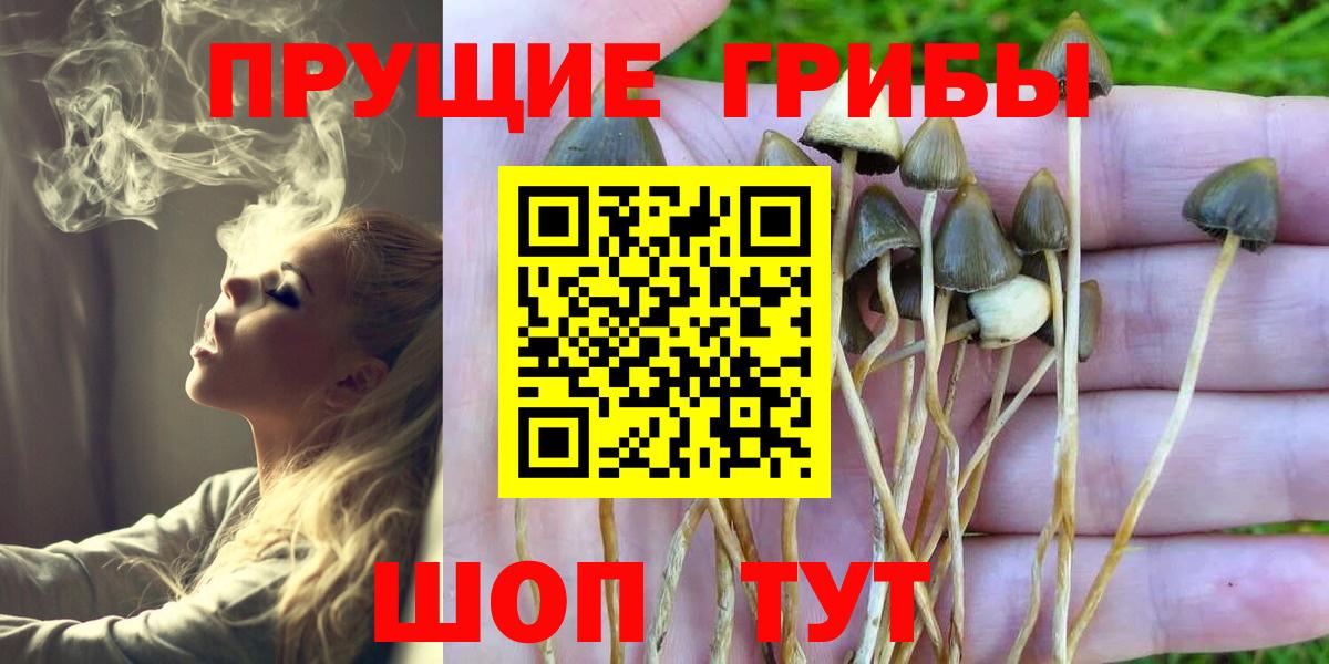 Галлюциногенные грибы MAGIC MUSHROOMS  как найти   Краснодар  Вход с VPN 